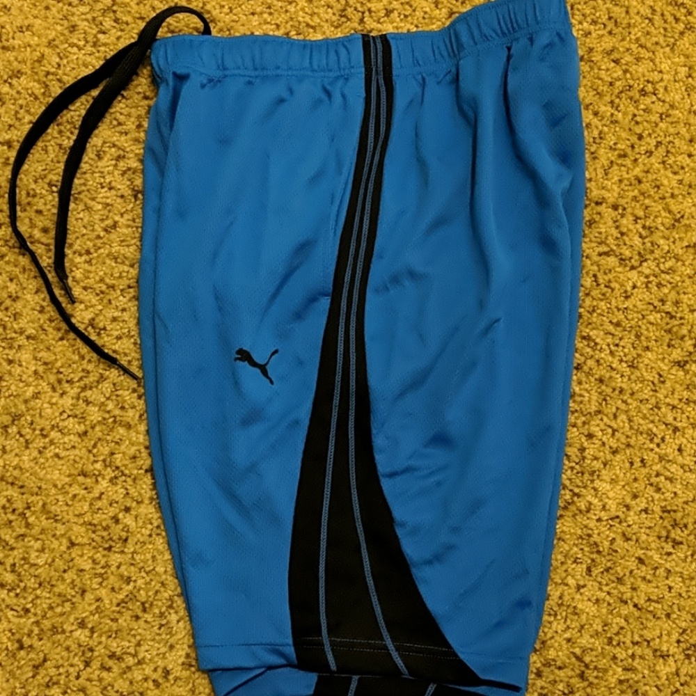 Puma men's formstripe 10" shorts blue - Picture 3 of 3